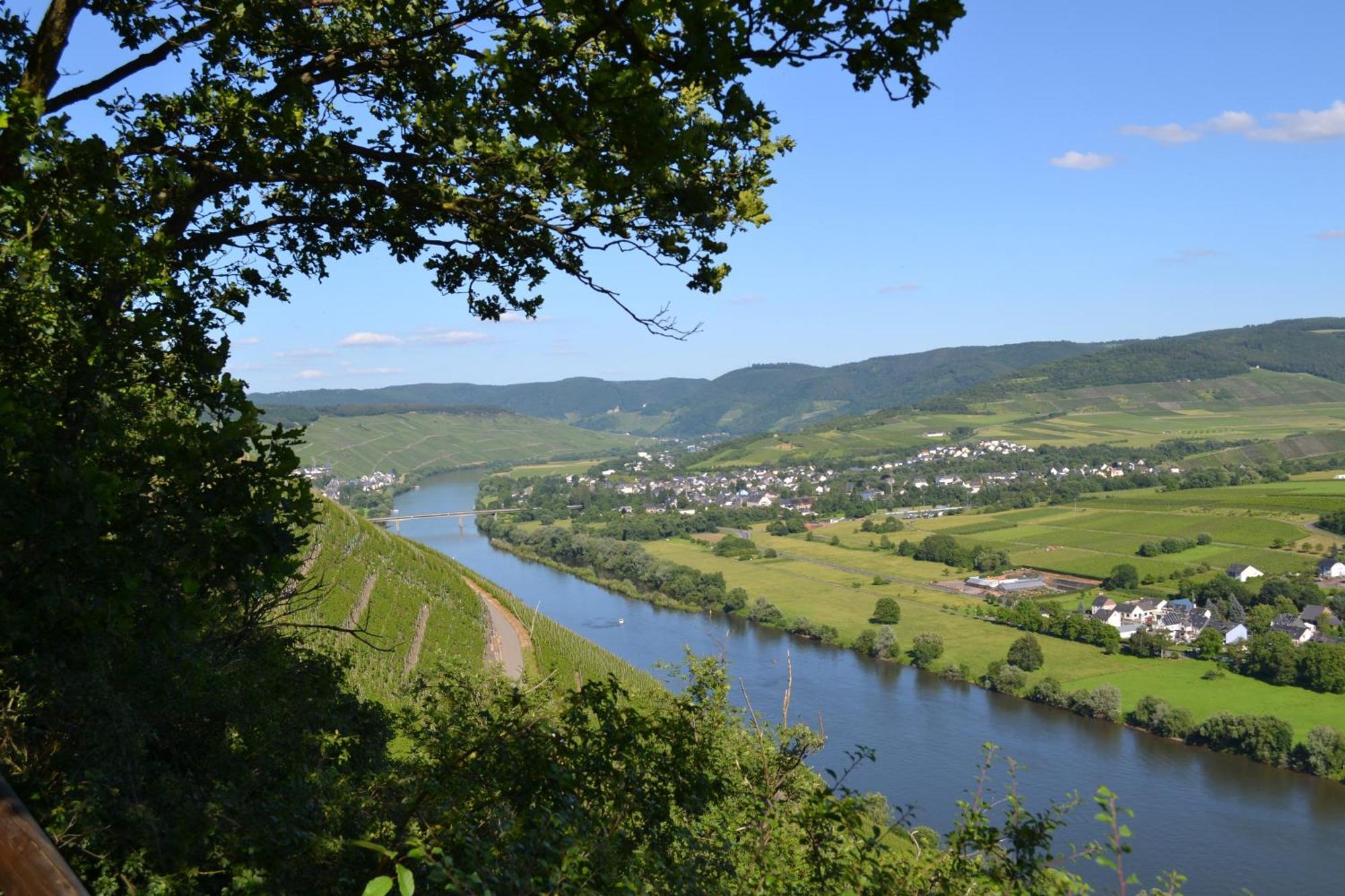 Weingut Mathy-Schanz Osann-Monzel Exterior foto
