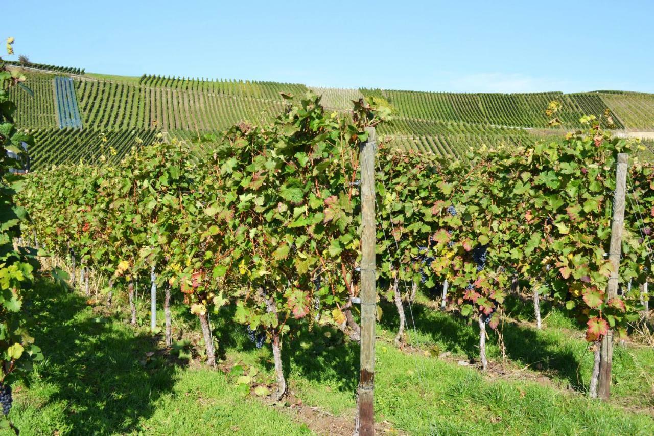 Weingut Mathy-Schanz Osann-Monzel Exterior foto