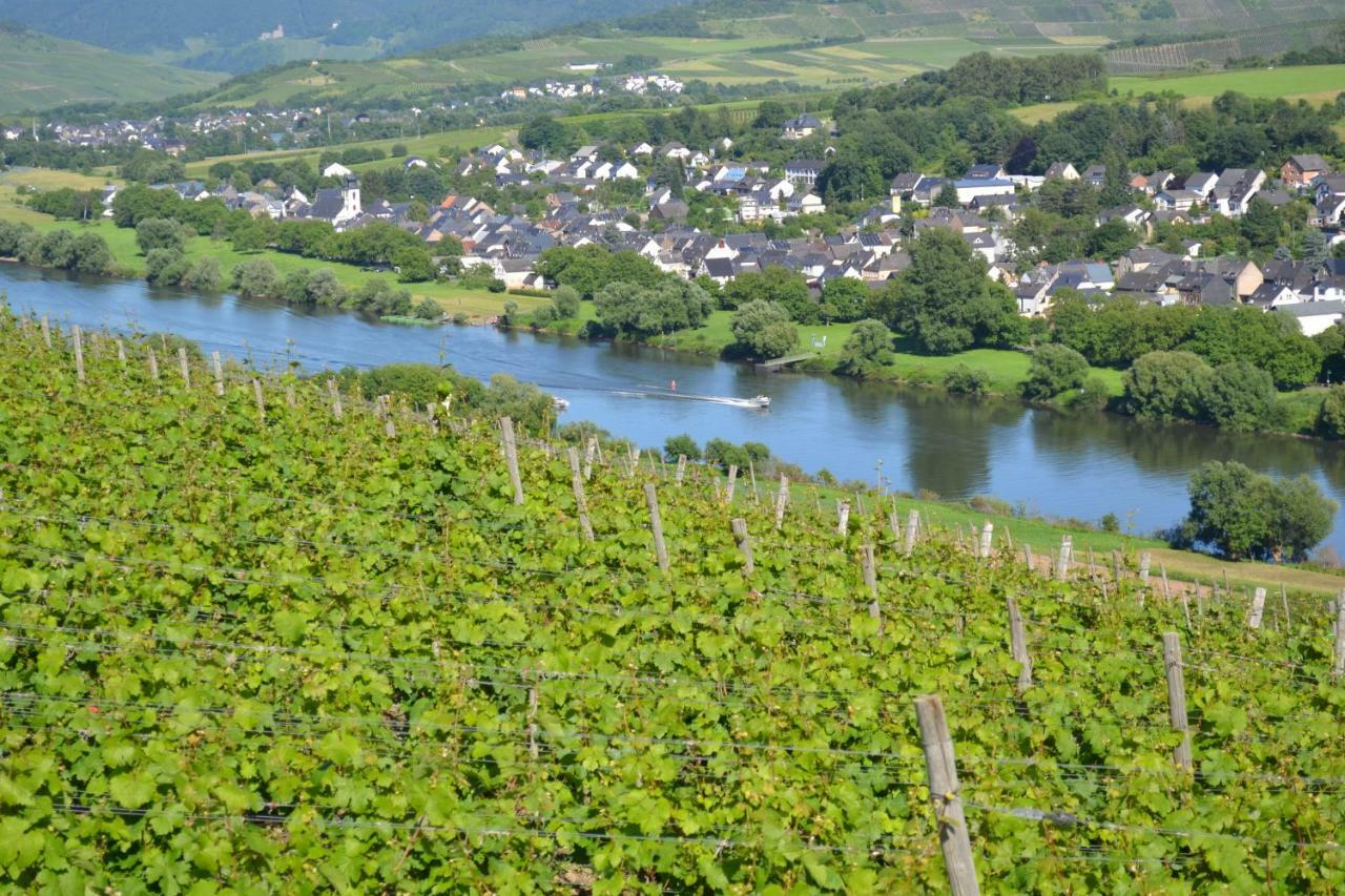 Weingut Mathy-Schanz Osann-Monzel Exterior foto